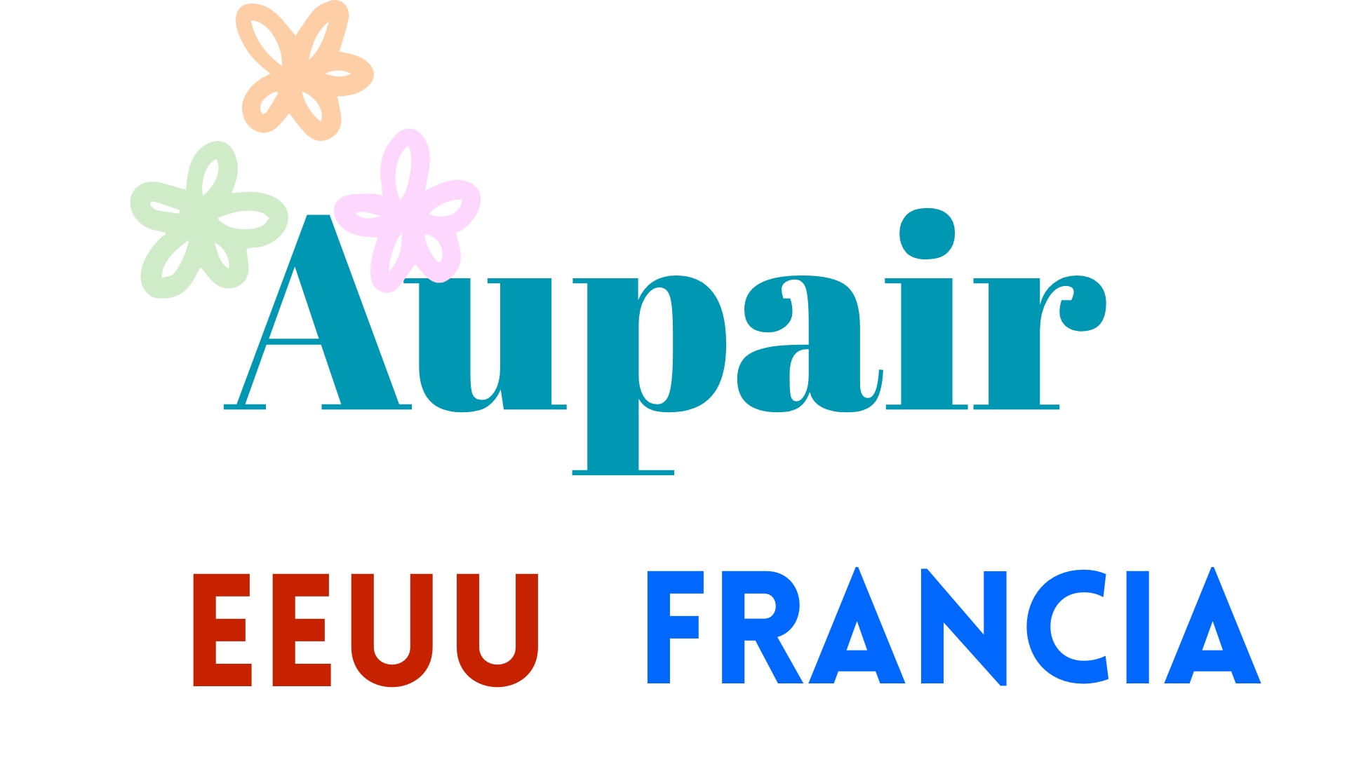 website (1)