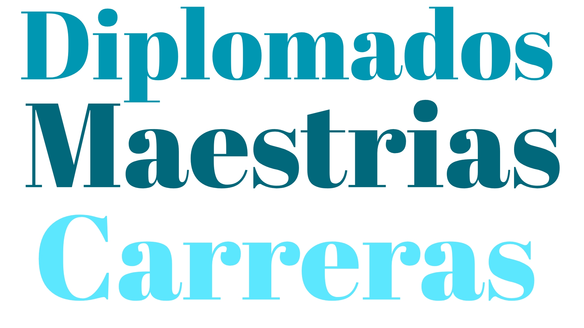 website (11)