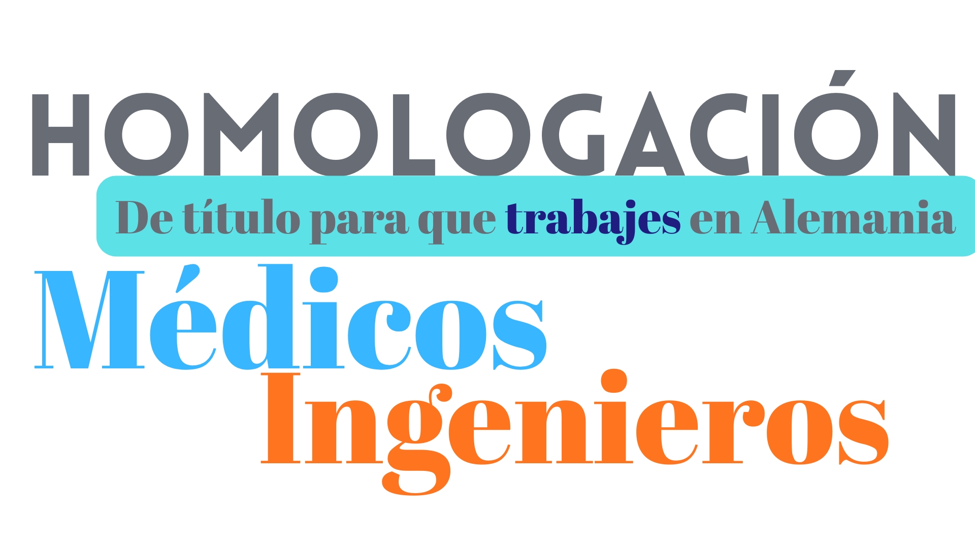 website (6)