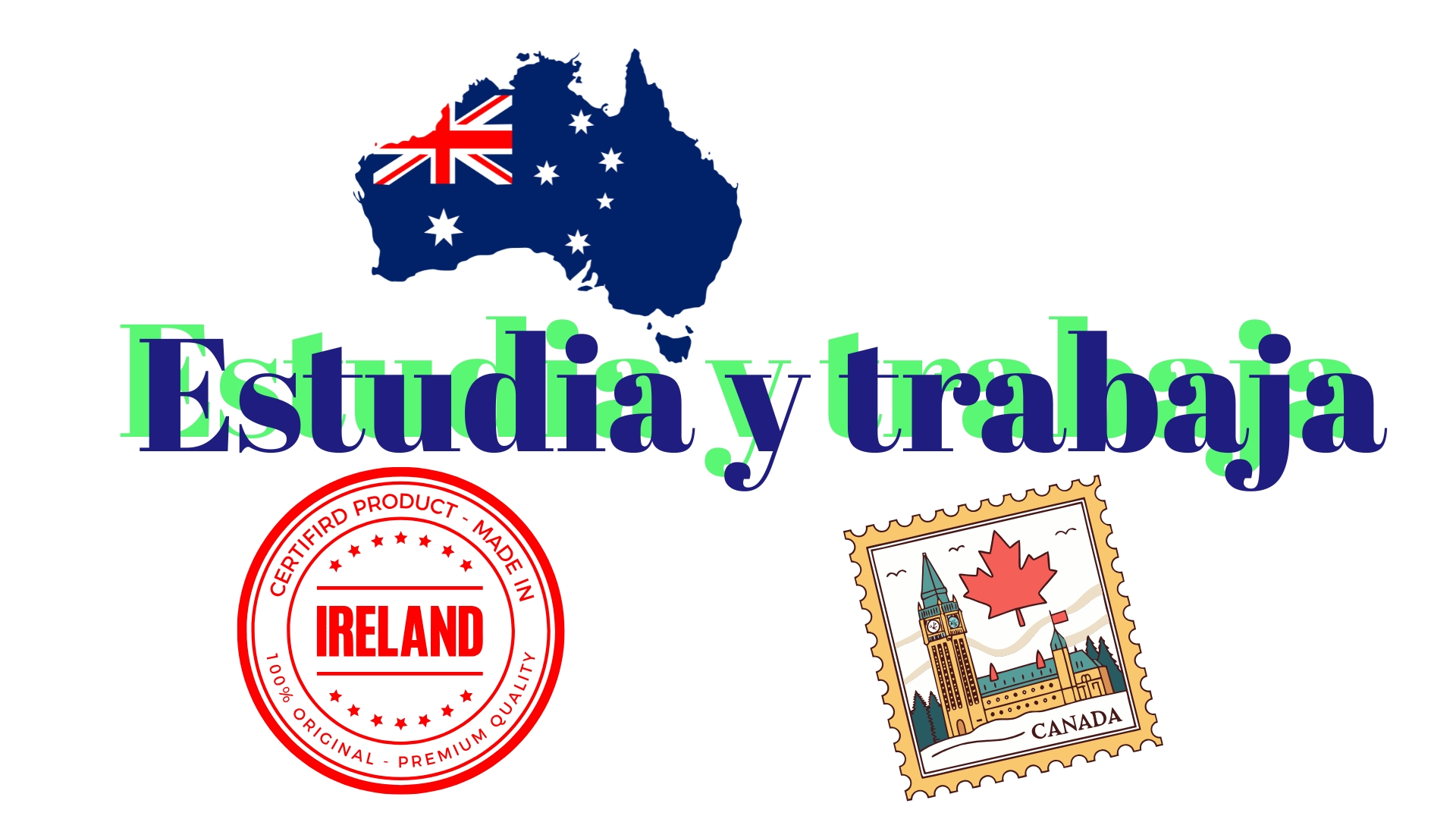 website (9)